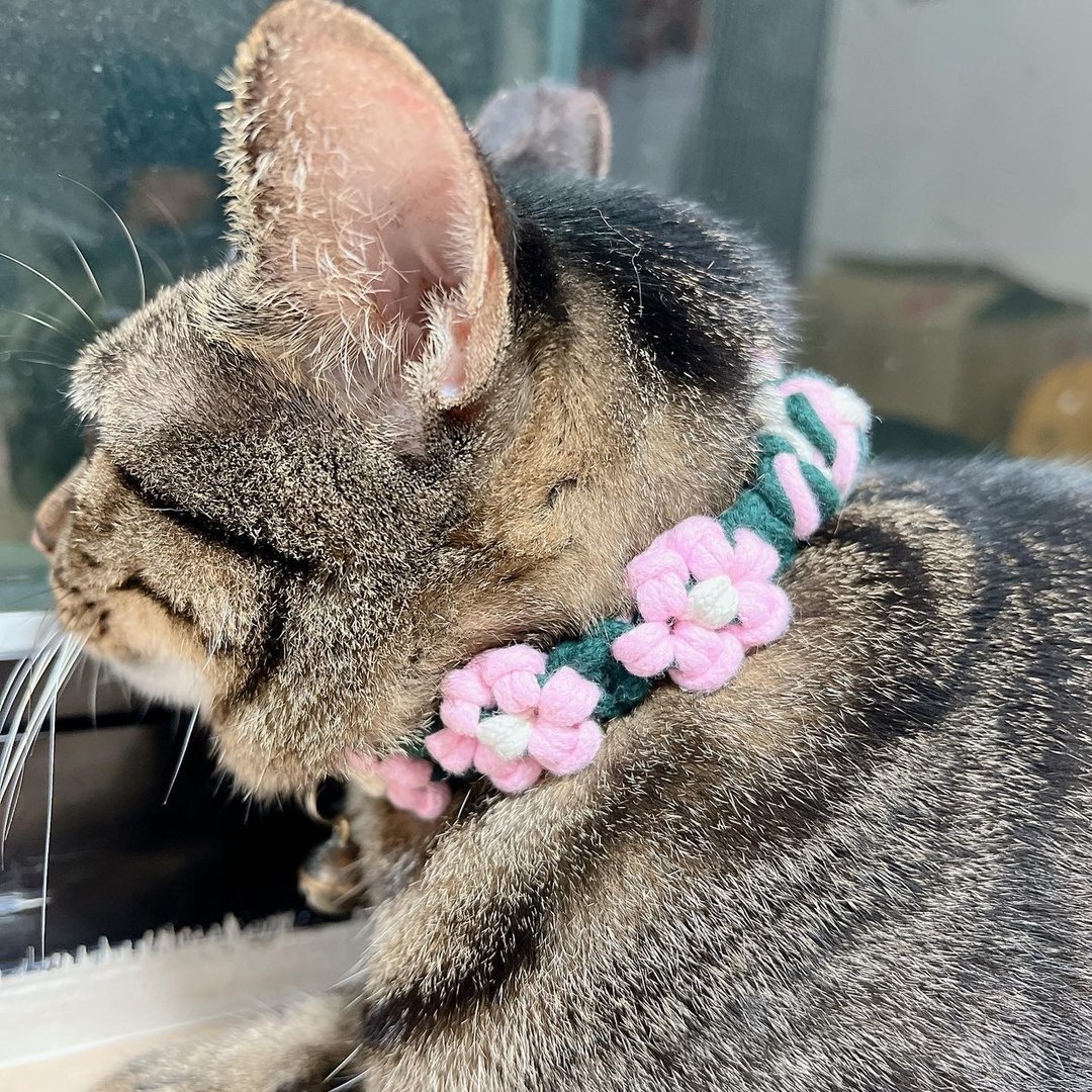 【定制化礼物】编织小花项圈 猫咪项圈 狗狗项圈 宠物项圈 - 项圈/牵绳 - 棉．麻 