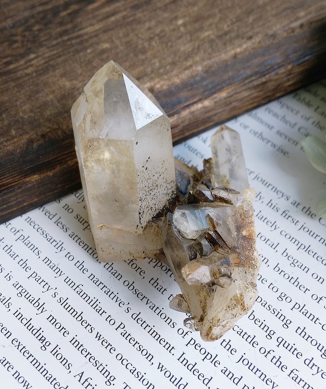 Smoky Quartz 四川产地 茶晶 水晶晶簇 天然矿石 原矿 - 摆饰 - 其他材质 