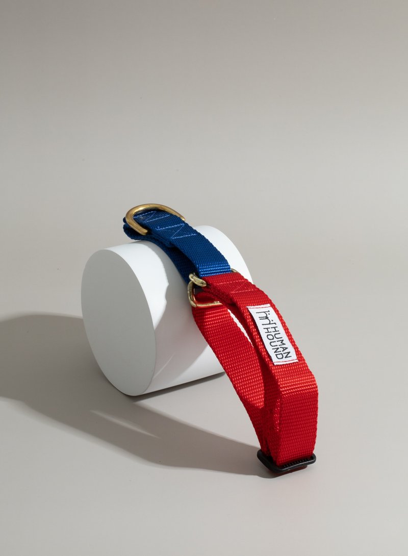 Martingale Collar - Blue x LightRed - 项圈/牵绳 - 其他材质 红色