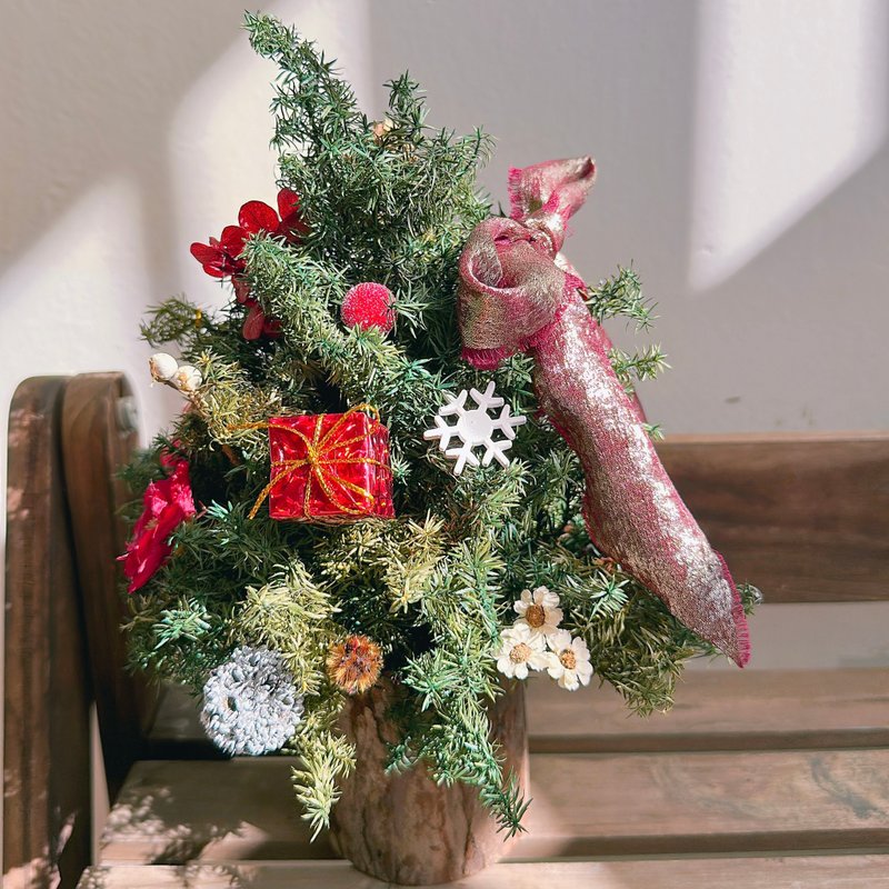 欢乐 | 红金・暖森永生圣诞树、DIY圣诞树材料包 - 植栽/盆栽 - 植物．花 绿色