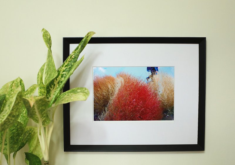 17岁 - 摄影集 - 纸 