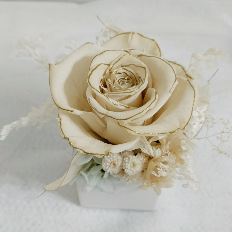 永生蓝白金玫瑰盆桌花 求婚告白情人节生日男/女生中秋定制化礼物 - 干燥花/捧花 - 植物．花 白色