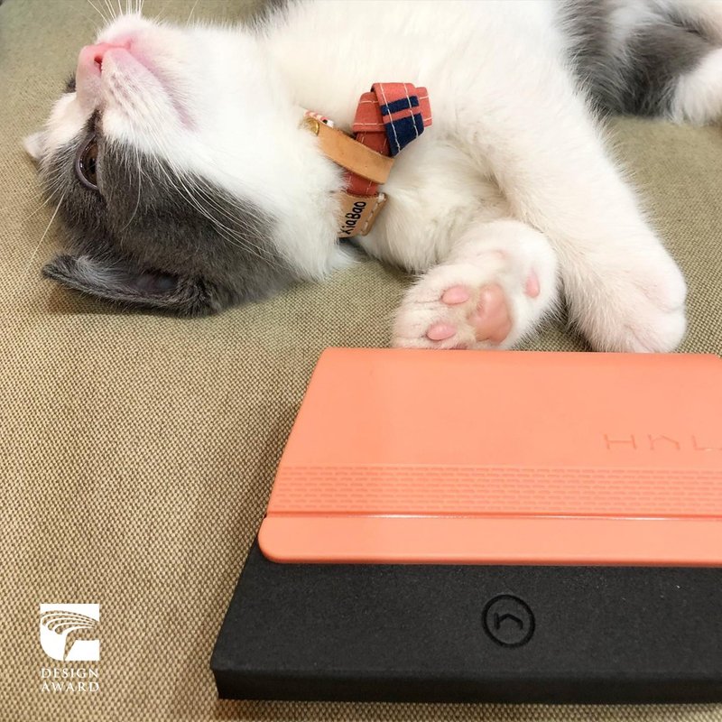 H h L【毛毛皂】宠物布面除毛橡皮擦 | 哈密瓜橙 - 清洁/美容 - 塑料 粉红色