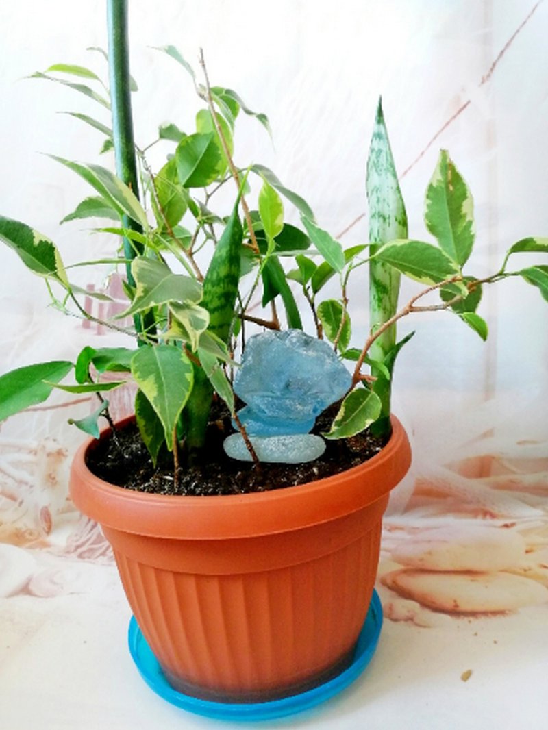 Sea glass Plant decoration for Plant lover gift.Sun catcher Plant pot decoration - 植栽/盆栽 - 玻璃 蓝色