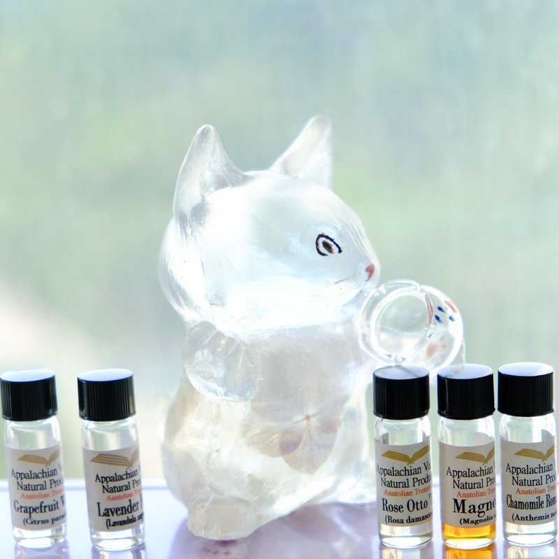 Natural Essential Oils for Cute Aroma Sculptures by ETPLANT - 香薰/精油/线香 - 植物．花 透明