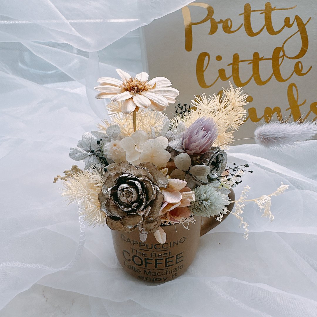 CAFE LATTE干燥盆花 康乃馨 干燥花 永生花 送礼 生日 婚礼 定制 - 干燥花/捧花 - 植物．花 咖啡色