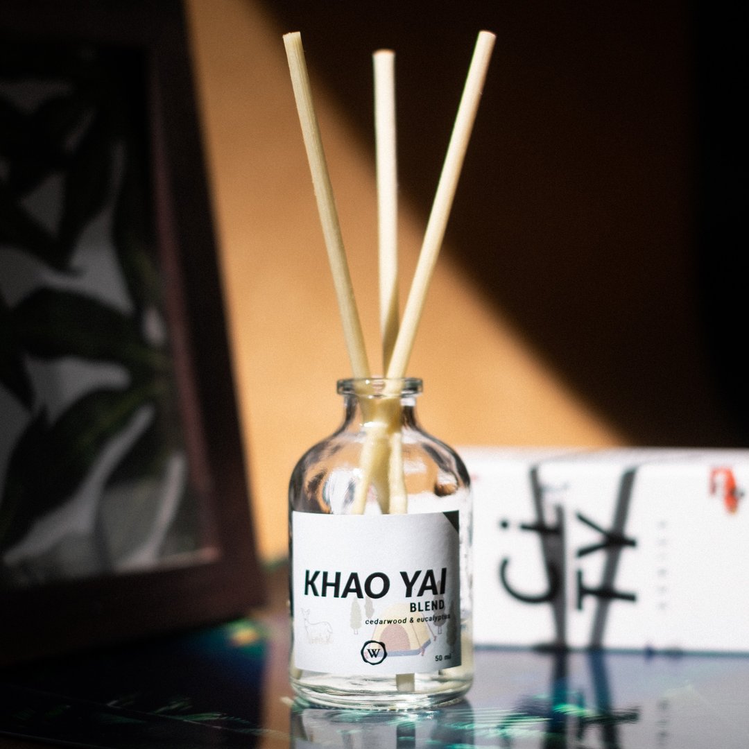 Scented Room Diffuser Set Khao Yai Blend City Series | Eucalyptus & Cedarwood - 香薰/精油/线香 - 玻璃 透明
