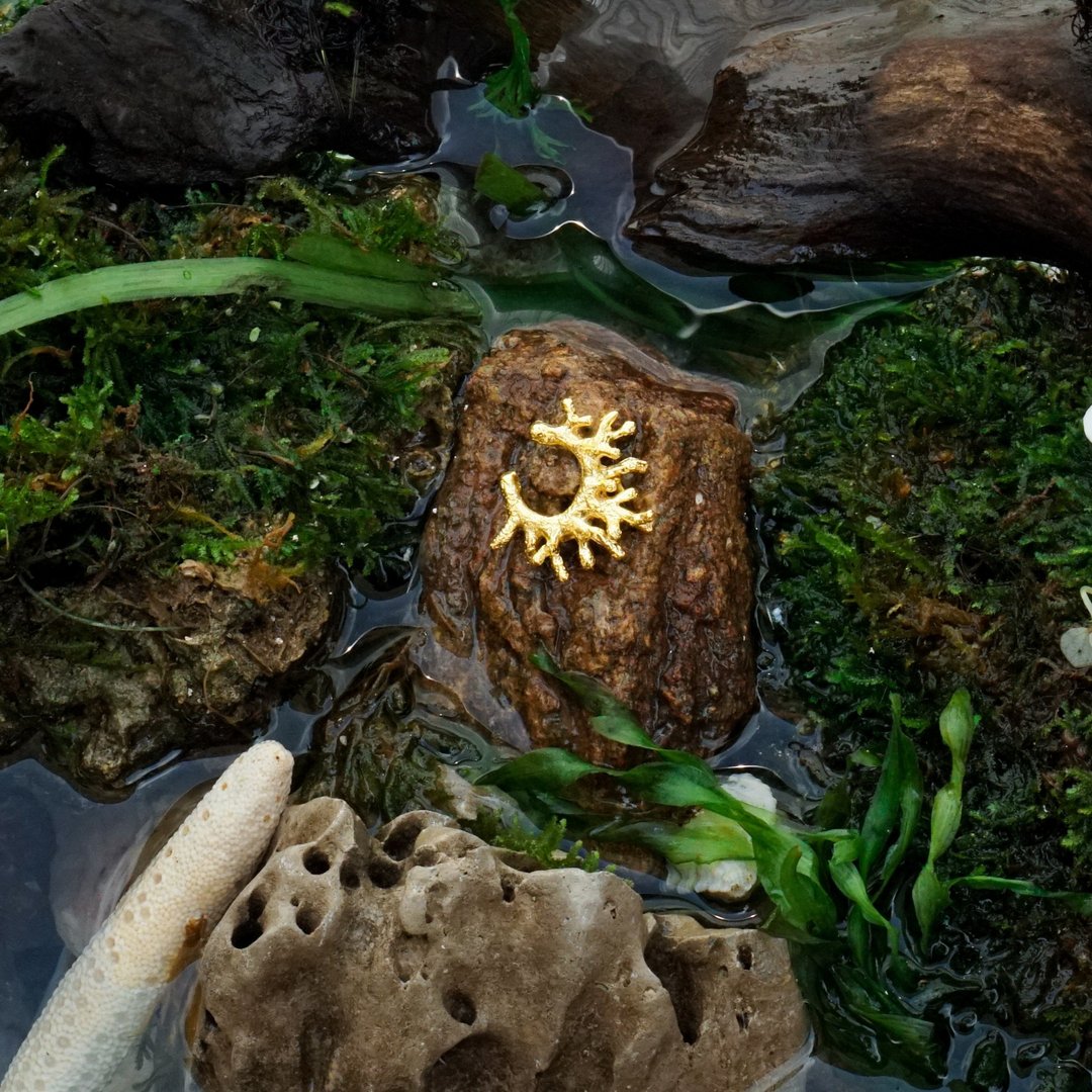 海藻迷你耳骨夹 - 耳环/耳夹 - 半宝石 金色