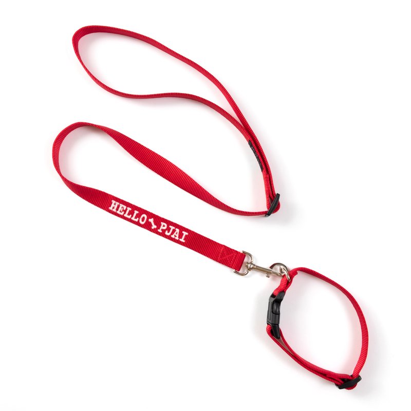 【定制化礼物】自订英文绣字-绿松色/红色绣花狗带 - 2色绣字(EMA - 项圈/牵绳 - 聚酯纤维 红色
