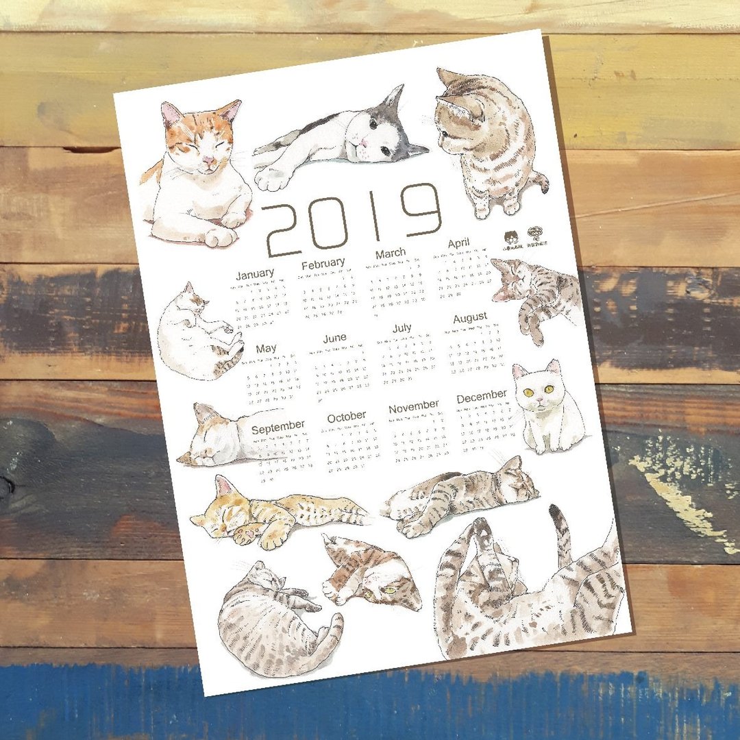2019兰屿小岛猫年历 - 年历/台历 - 纸 