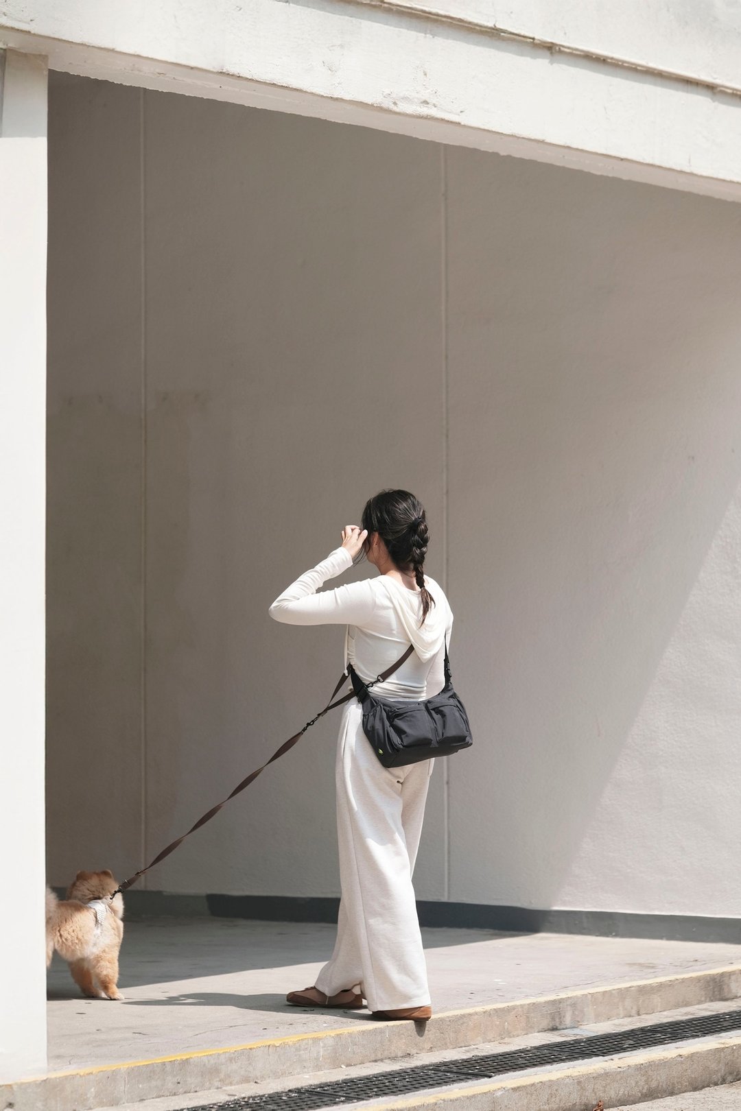 WALK BAG 2.0 遛狗外出包 宠物袋 - 深灰色 - 外出包 - 尼龙 黑色