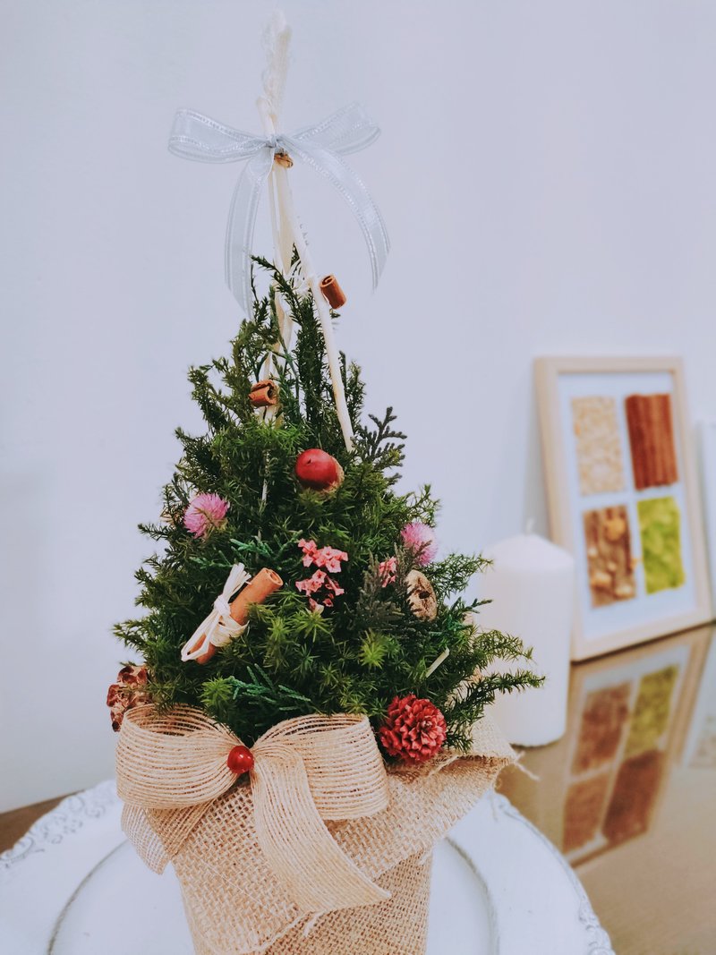 定制化礼物 永生雪松圣诞树/交换礼物/附包装/圣诞树 摆饰 送礼 - 植栽/盆栽 - 植物．花 绿色