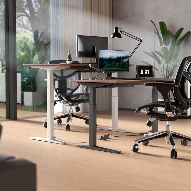 【全配版】Flexispot | 磁吸式电动升降桌 (内含理线架、延长线) - 餐桌/书桌 - 木头 