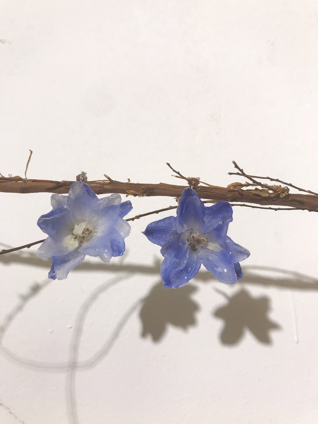 真花饰品。. * 飞燕草耳环-单只。. * 以回收花人手制作 可转夹式 - 耳环/耳夹 - 植物．花 蓝色
