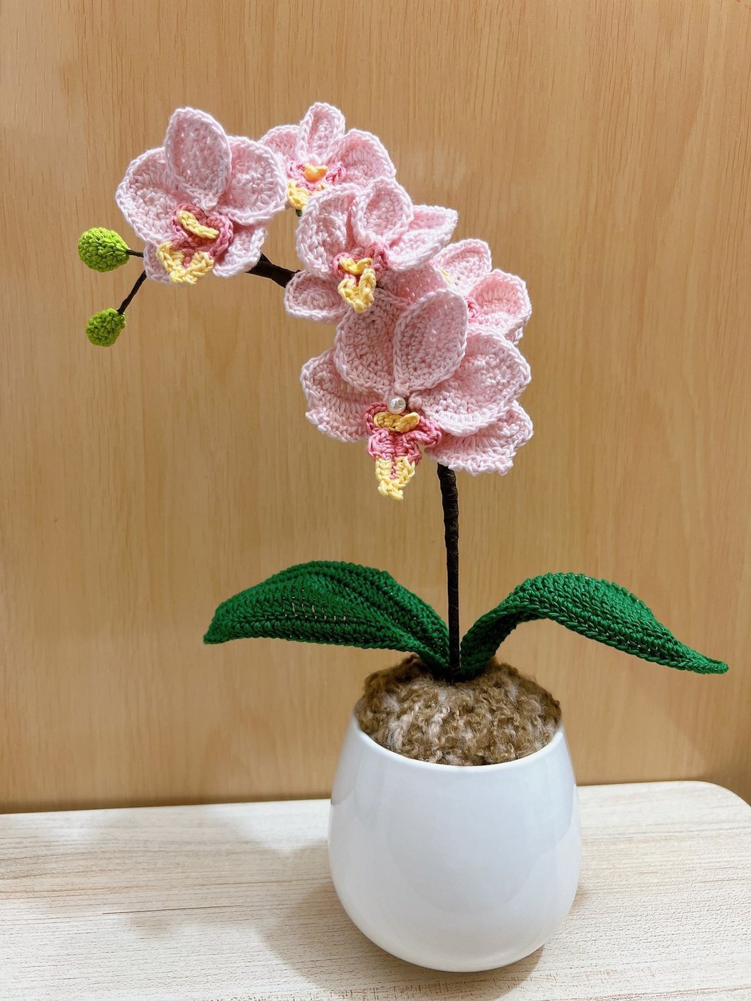 单支蝴蝶兰摆设 - 植栽/盆栽 - 棉 