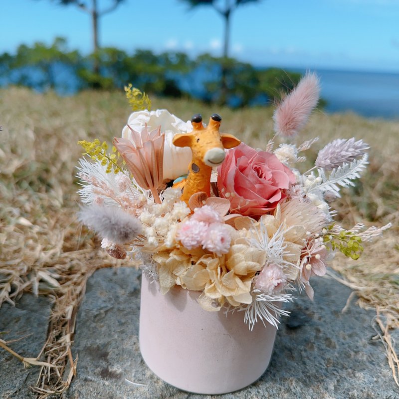 长颈鹿的花园小宇宙 永生花盆 永生花 盆花 - 干燥花/捧花 - 植物．花 粉红色