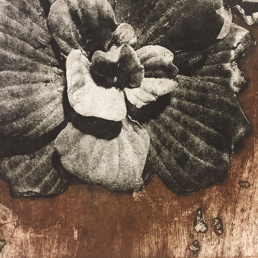 原作版画 -芙蓉- 林仁信  - 海报/装饰画/版画 - 纸 咖啡色