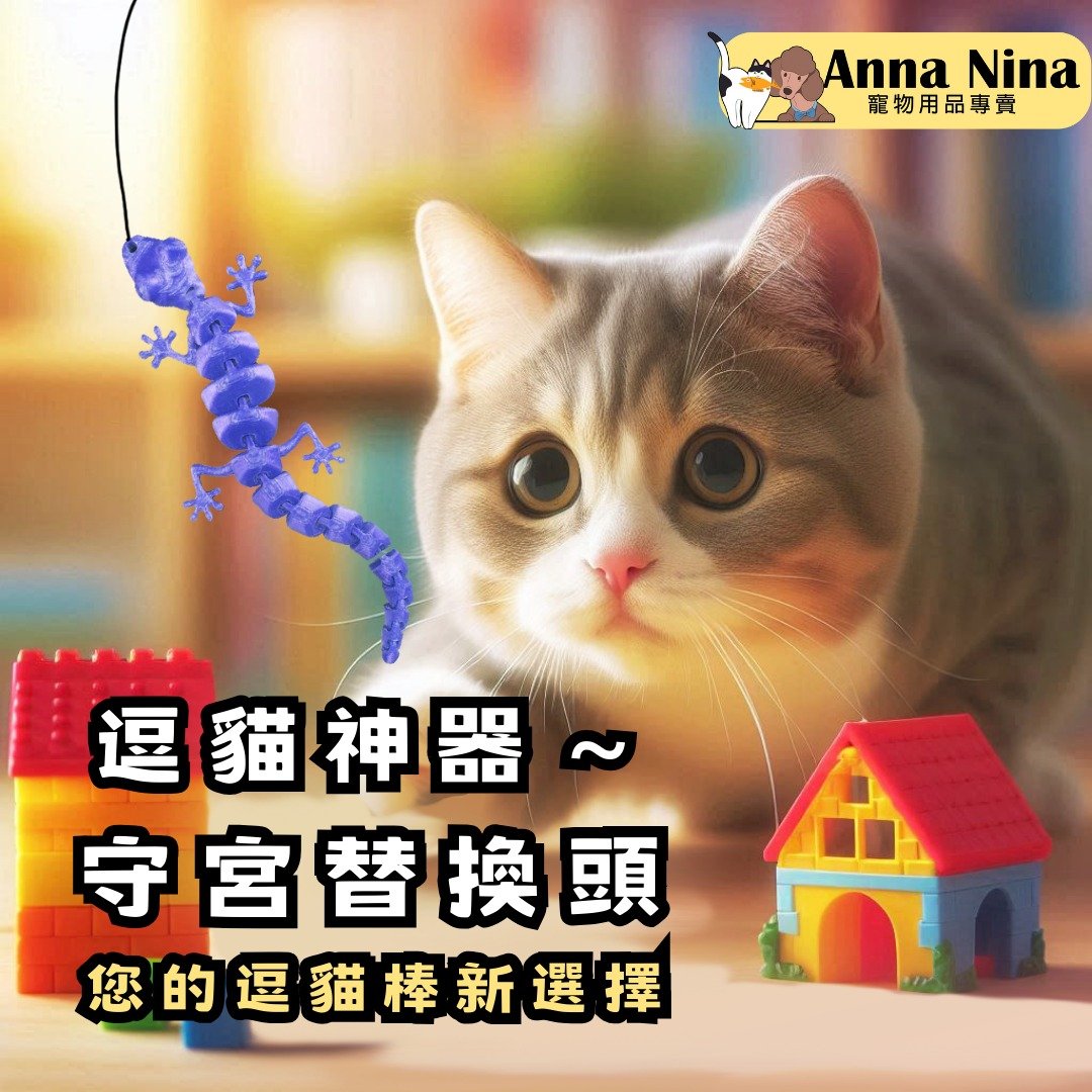 anna nina逗猫神器.守宫替换头 可拆卸逗猫棒 猫玩具 钢丝逗猫 - 玩具 - 塑料 多色