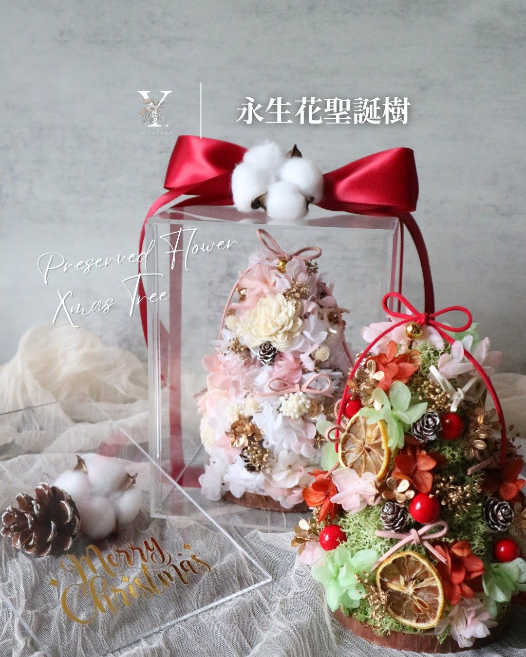 【圣诞礼物首选】手工永生花圣诞树 | 冬日粉雪及经典圣诞(两色) - 干燥花/捧花 - 植物．花 