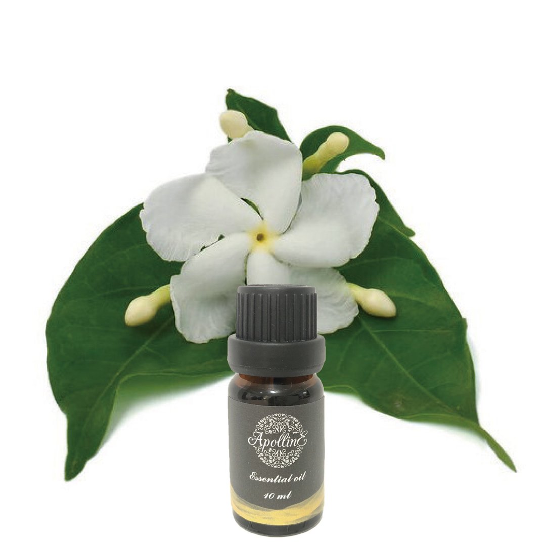 茉莉精油 JASMIN - 香薰/精油/线香 - 精油 