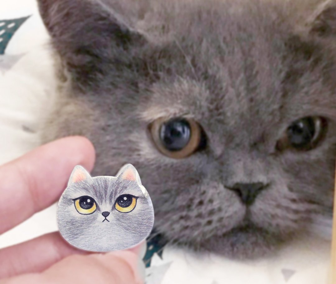 定制化礼物 别针 似颜绘 可爱动物别针 胸针 猫咪 狗狗 宠物 蓝猫 - 徽章/别针 - 树脂 多色