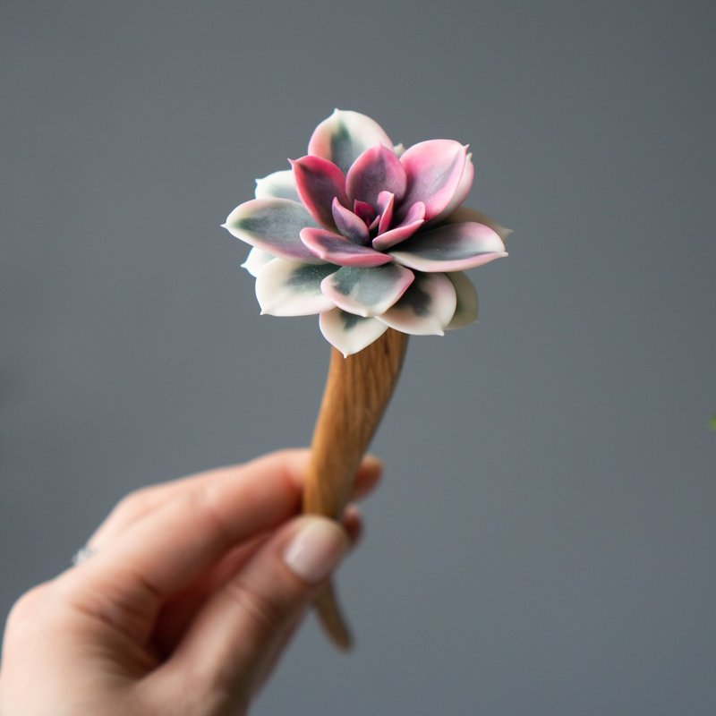 木质发簪 | 彩虹石莲 - 发饰 - 其他材质 