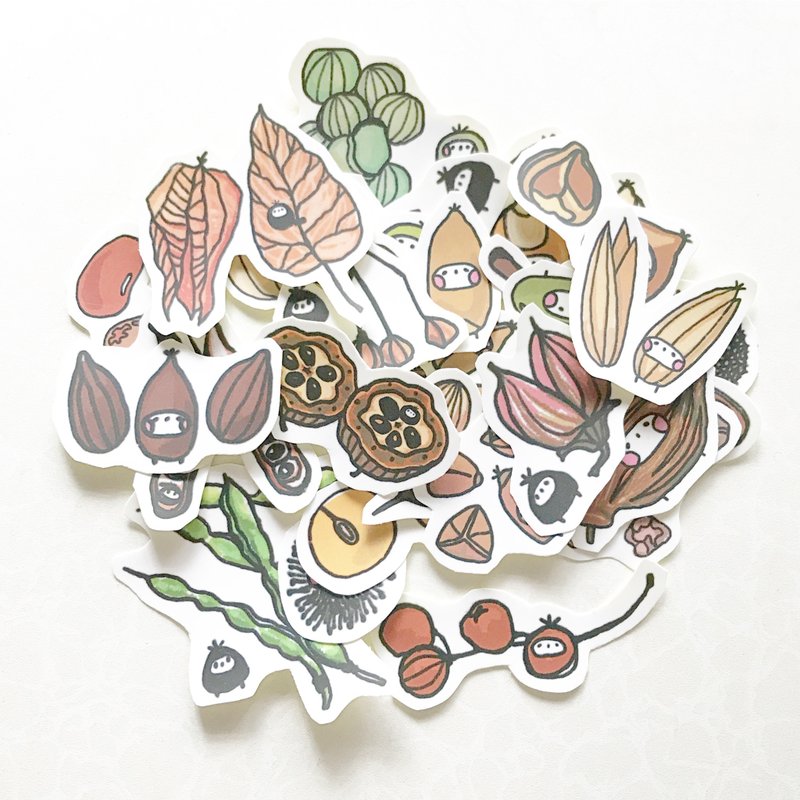 布籽生物 │种籽 插画贴纸 - 贴纸 - 纸 咖啡色