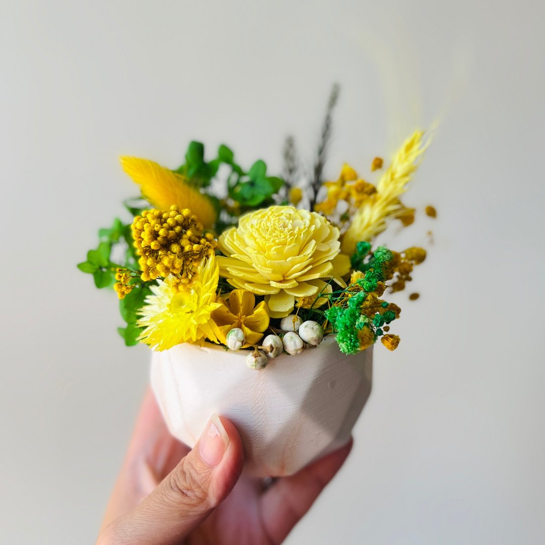 黄色扩香永生小盆栽-桌上芳香小盆栽 扩香花盆栽 永生花盆栽 - 香薰/精油/线香 - 植物．花 
