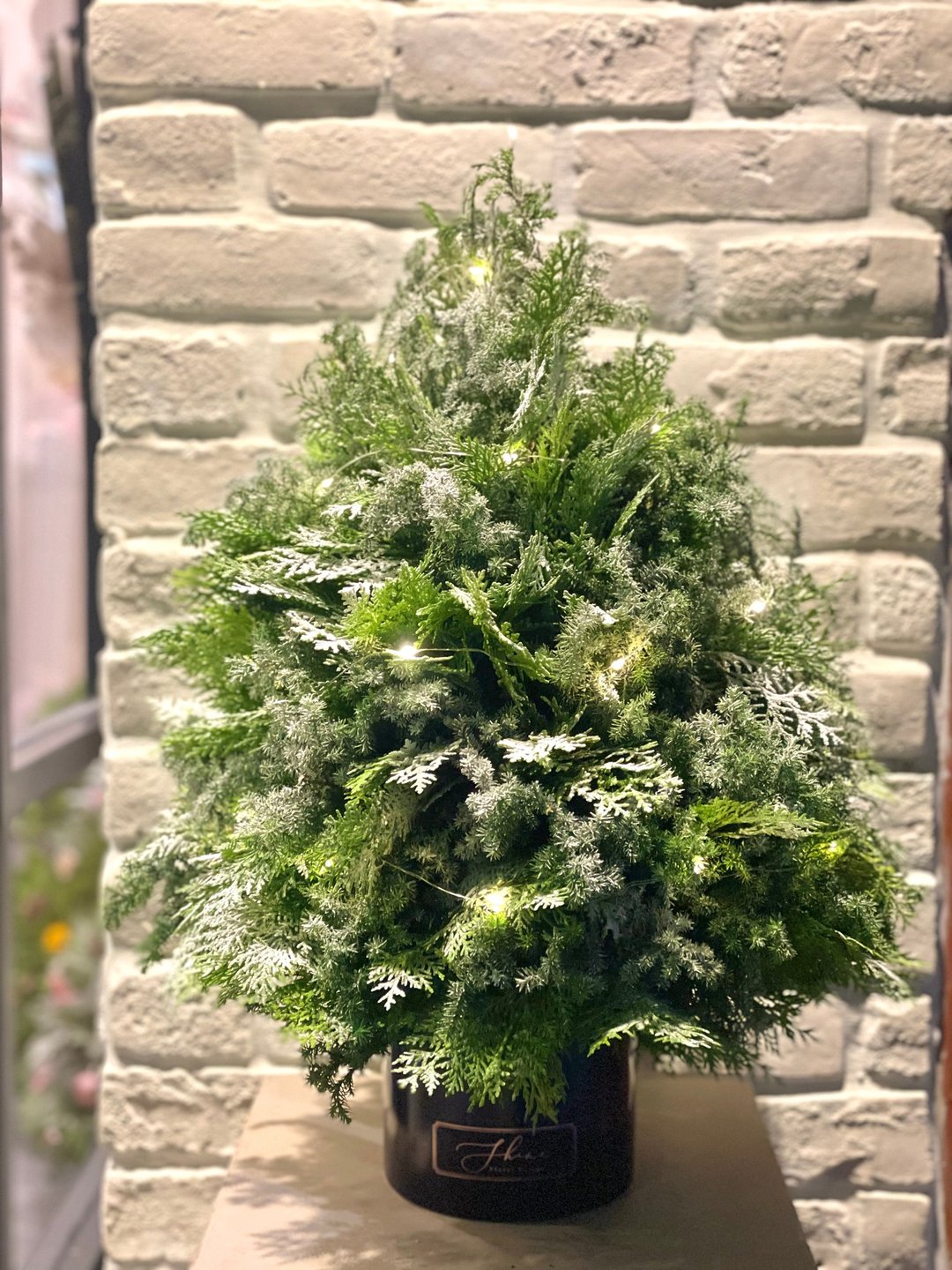 裸树喷雪 北国干燥混合松圣诞树 (M)  预购 12/01后依序出货 - 干燥花/捧花 - 植物．花 绿色
