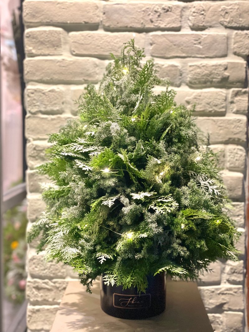 裸树喷雪 北国干燥混合松圣诞树 (M)  预购 12/01后依序出货 - 干燥花/捧花 - 植物．花 绿色