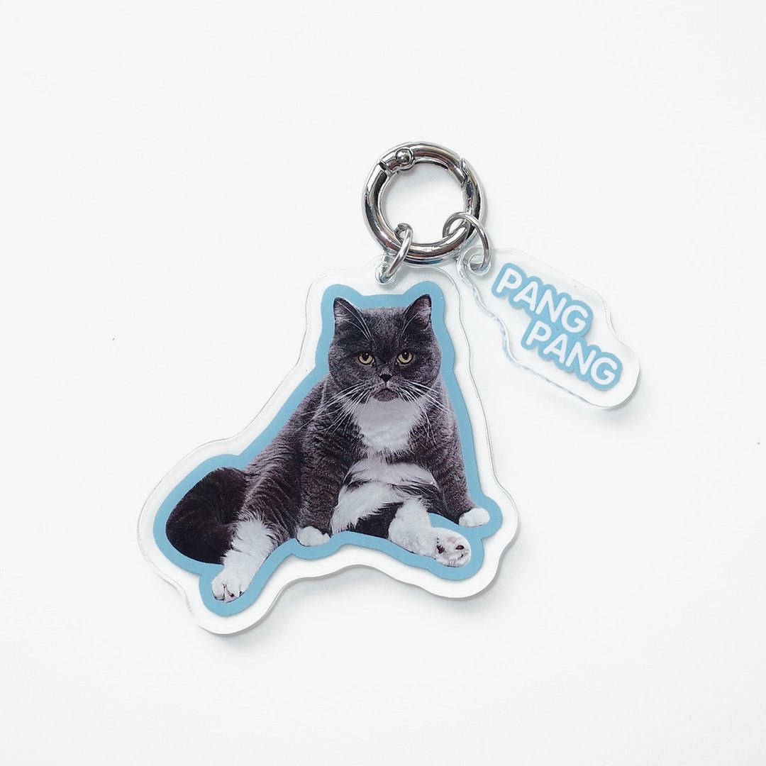 买3赠1 宠物吊饰 宠物压克力钥匙扣 定制狗猫包挂 钥匙圈 - 吊饰 - 压克力 多色