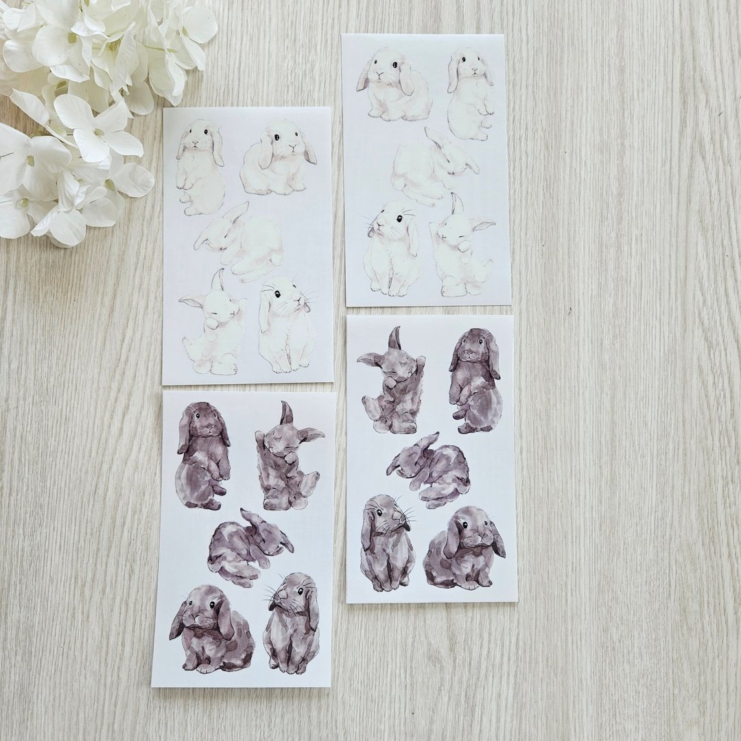 jin_oriental sticker_荷兰垂耳兔 - 贴纸 - 塑料 