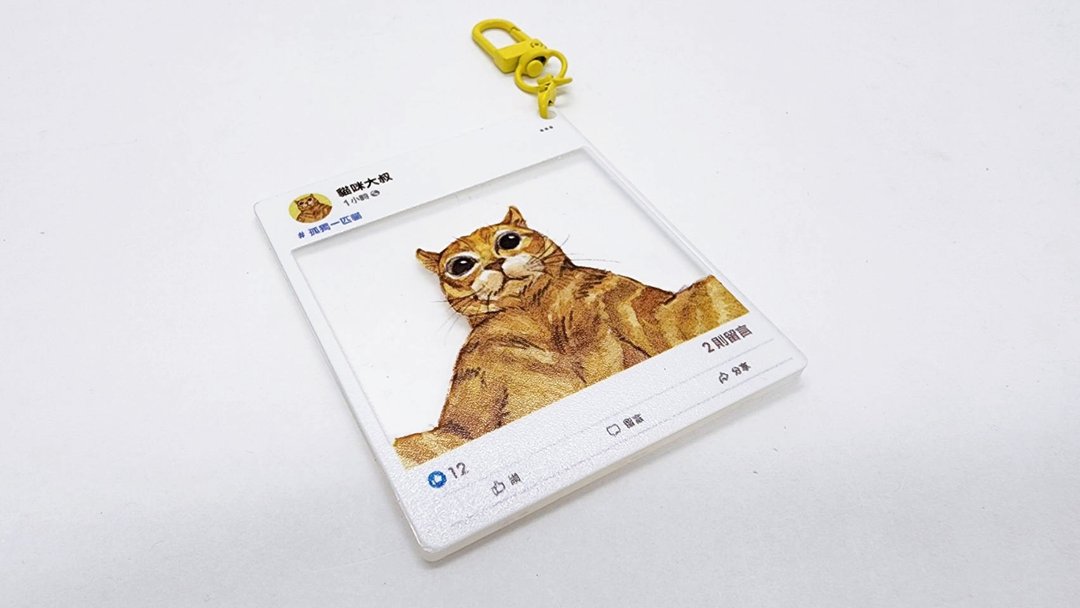猫咪大叔 #孤独一匹猫/压克力钥匙圈/打卡钥匙圈/吊饰/挂饰/透卡 - 钥匙链/钥匙包 - 压克力 金色