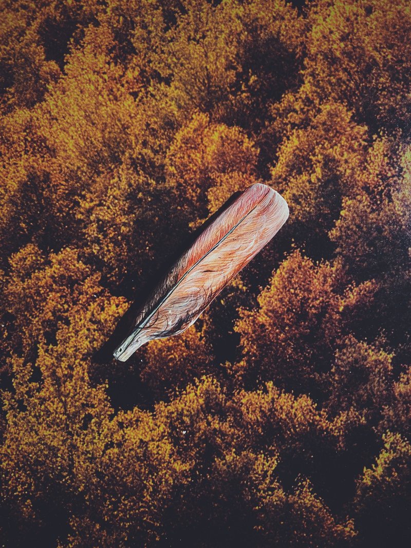 木刻手绘坠饰 - 羽毛 - 其他 - 木头 橘色