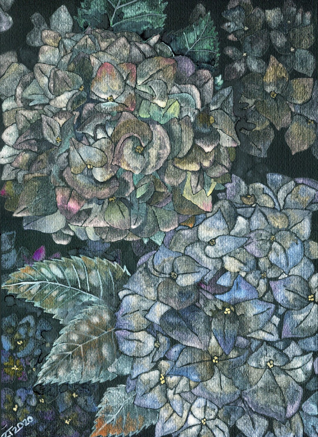 Original watercolor painting Hydrangea 11 by 16inches by artist Tatiana Zazulina - 墙贴/壁贴 - 纸 黑色
