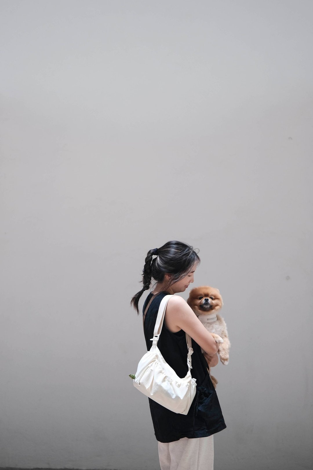 WALK BAG 2.0 遛狗外出包 宠物袋 - 米白色 - 外出包 - 尼龙 白色