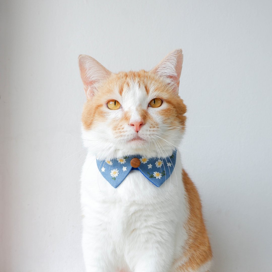 Daisies collar set,Removable- Hand Daisies Embroidery collar for cat - Blue - 项圈/牵绳 - 棉 蓝色