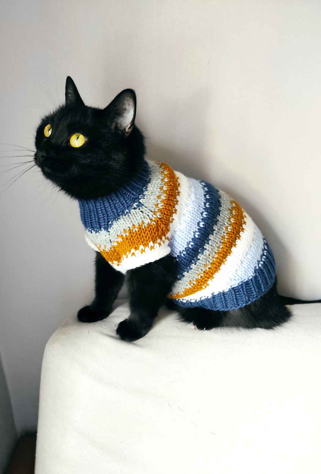 Cat sweater cat clothes Cat jumper cat outfit sweater for cat pet jumper - 衣/帽 - 羊毛 