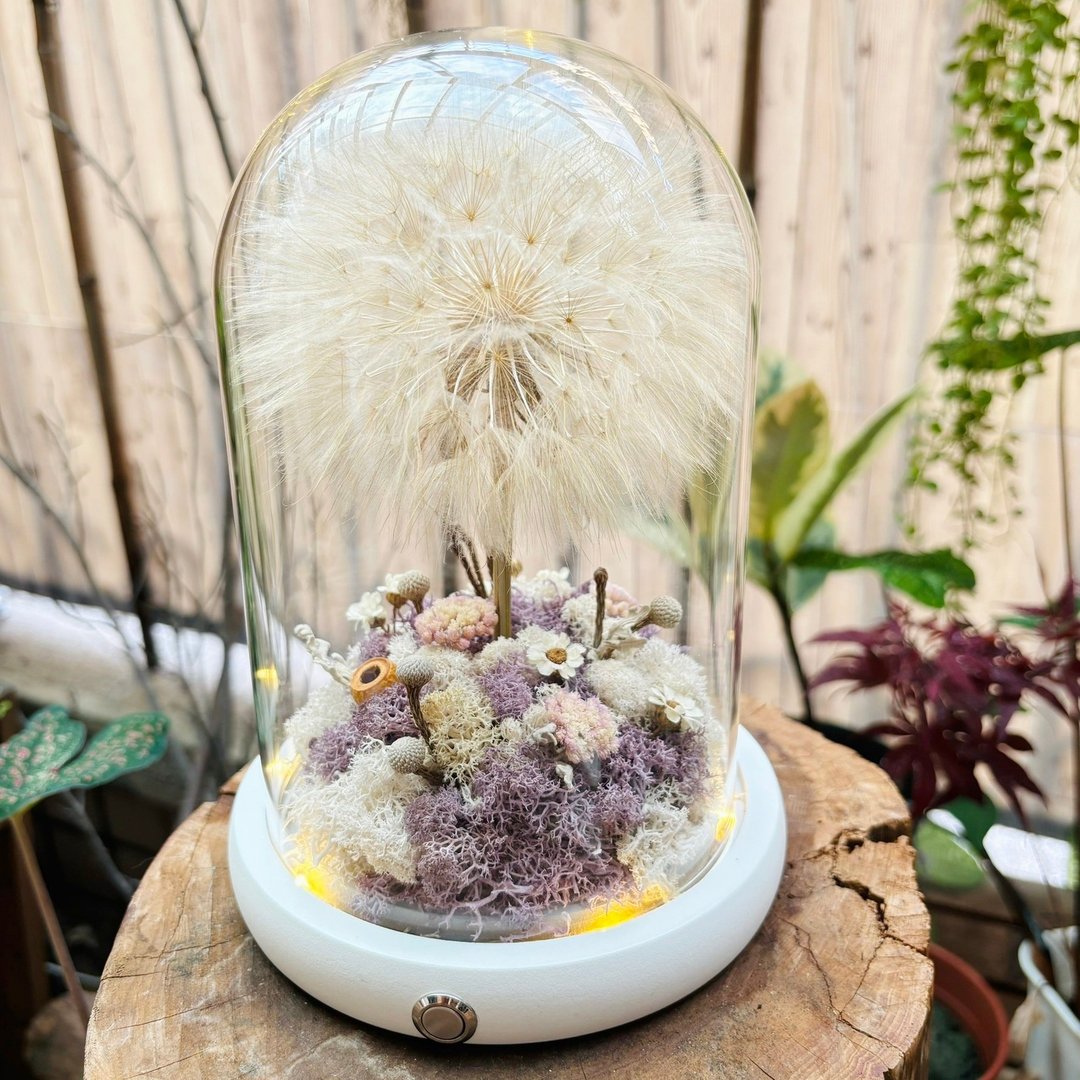 山丘上的蒲公英树 魔法森林 魔法树 永生花 紫雾迷踪 - 摆饰 - 植物．花 