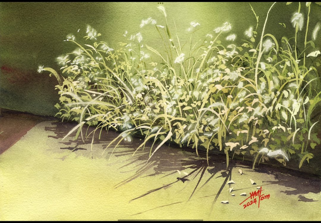角落的生命力 - 海报/装饰画/版画 - 纸 
