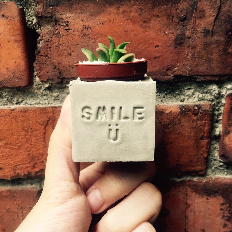 smile 笑ㄧ个 水泥磁铁盆栽 送多肉 - 植栽/盆栽 - 水泥 灰色
