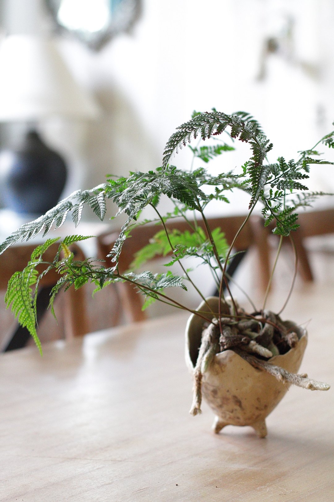 纯手捏大理石纹花莲原矿土陶瓷花盆(有洞) - 植栽/盆栽 - 陶 金色