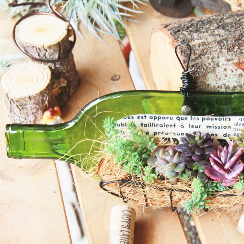 缤纷多肉乐园2 壁挂式玻璃吊盆 - 植栽/盆栽 - 玻璃 绿色