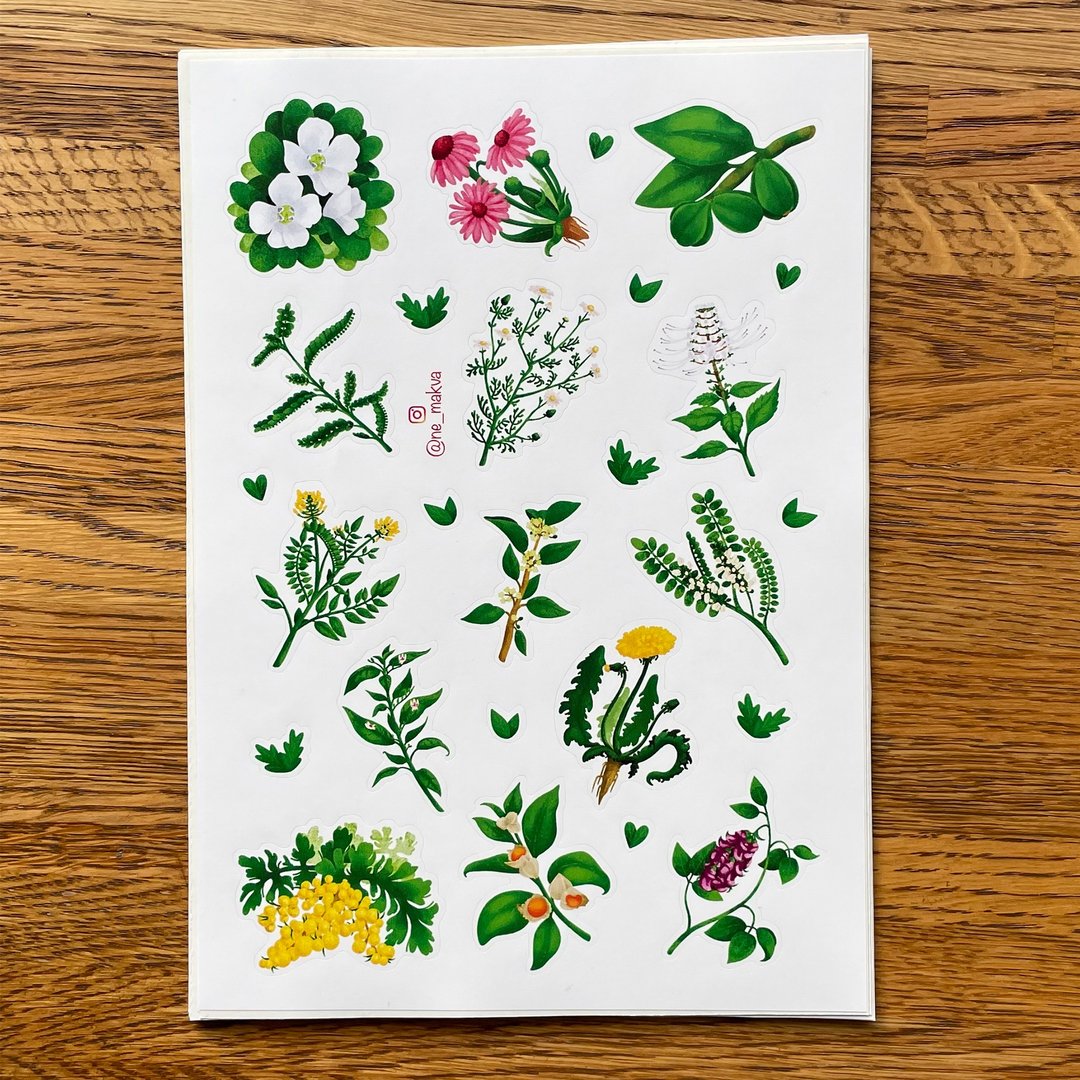 贴纸 - 花卉、植物 | 笔记本贴纸、日记贴纸、记事本 - 贴纸 - 纸 绿色