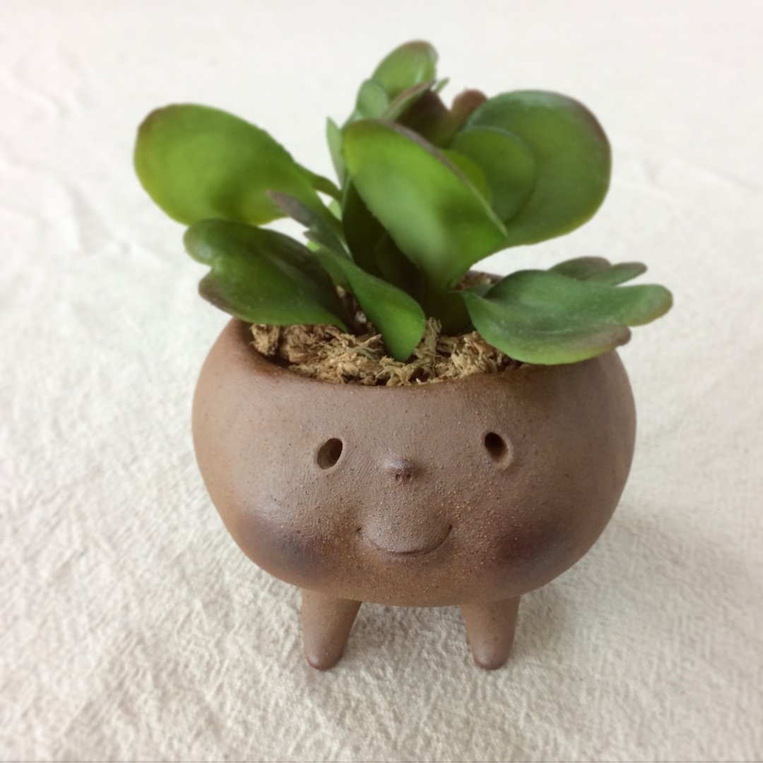 奇怪的生物“COJICOJI” (花盆) - 植栽/盆栽 - 陶 咖啡色
