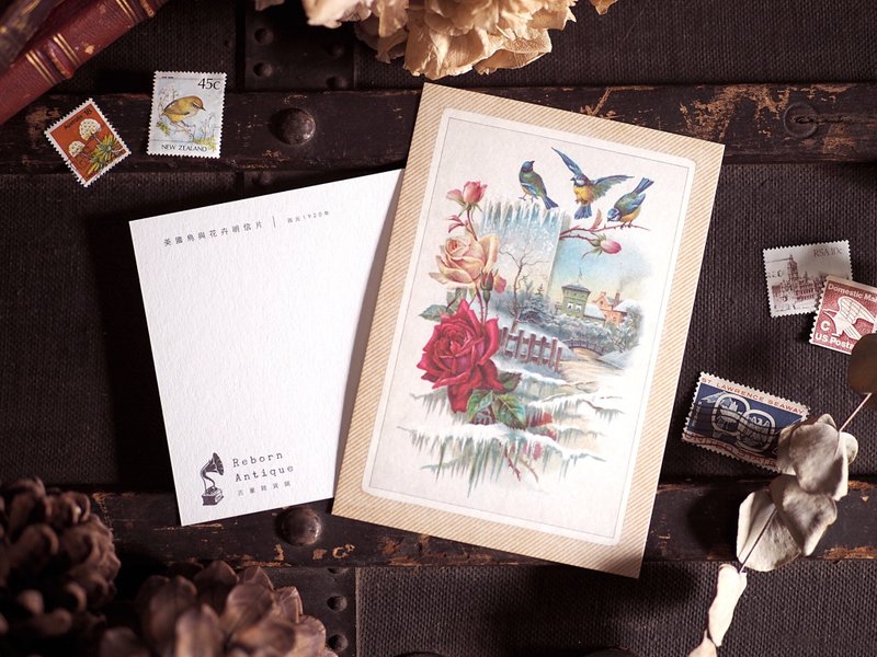 古董插画家系列 复刻版明信片 I款 西元1920年美国鸟与花卉明信片 - 卡片/明信片 - 纸 