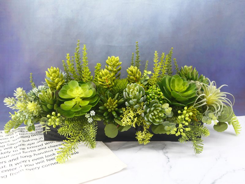 多肉石莲长盆香氛植栽 包邮专人配送限双北市 其余地区需补运费 - 植栽/盆栽 - 其他材质 绿色