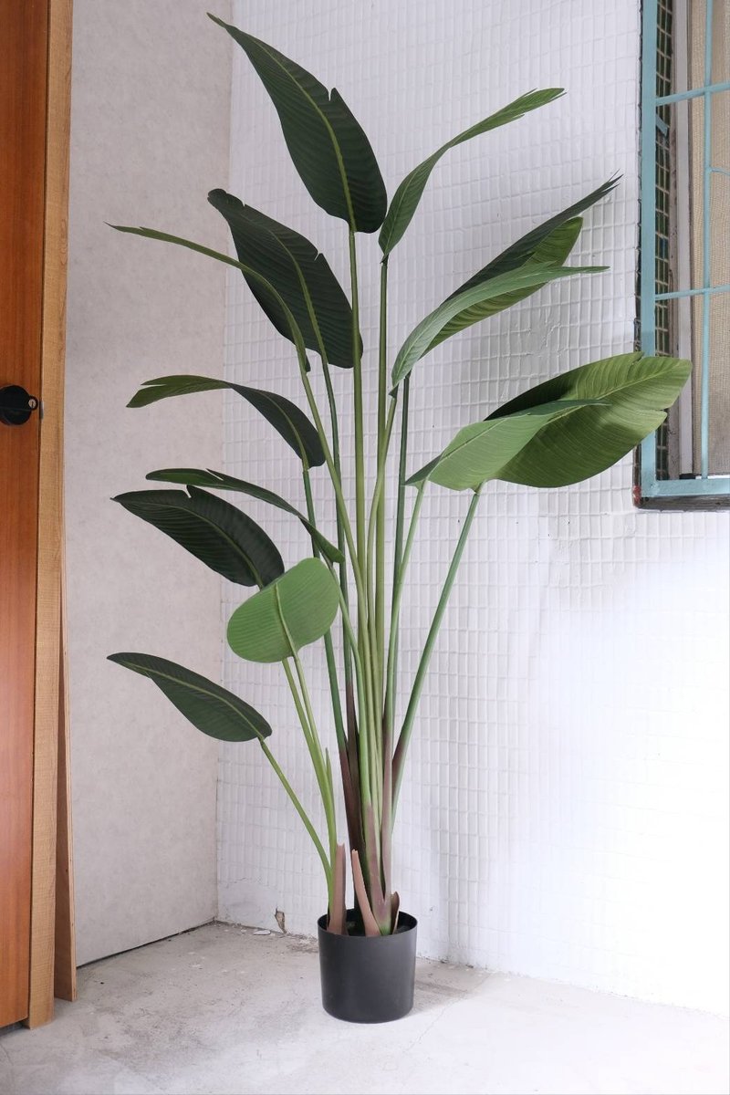 人造植栽/仿真旅人蕉/仿真植物/绿化/永不凋零 - 植栽/盆栽 - 塑料 绿色