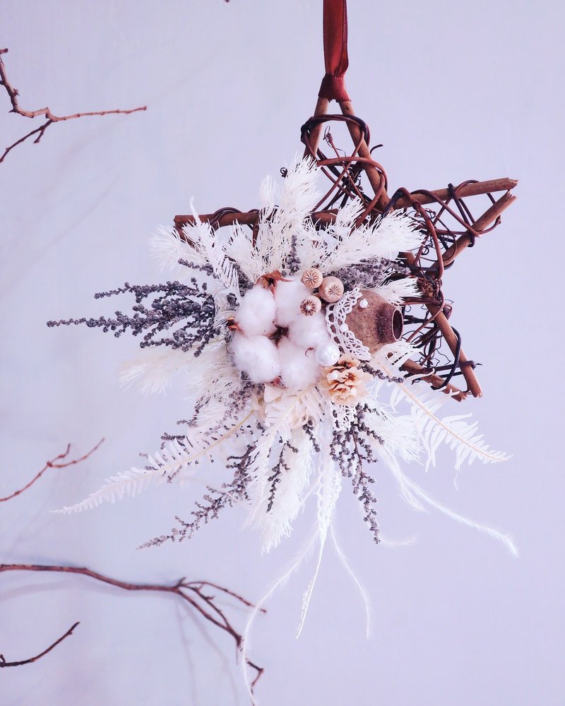 ▫One Flower▫ My Star 雪地里的星星 耶诞花圈 - 植栽/盆栽 - 植物．花 白色