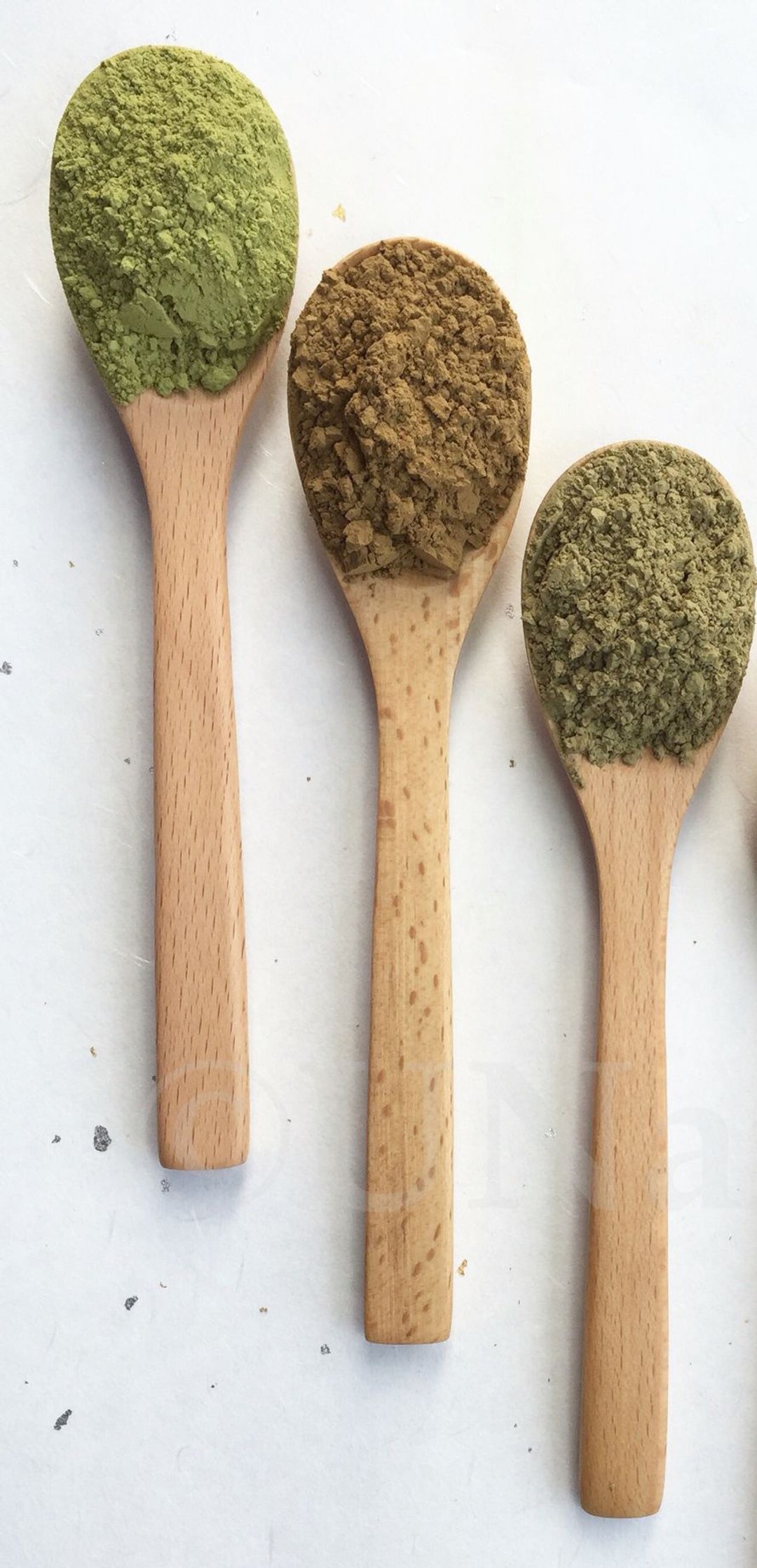 自然茶粉-乌龙茶 - 茶 - 植物．花 咖啡色